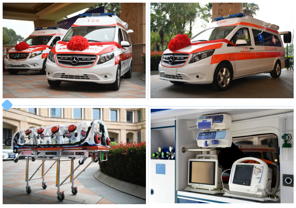 嫩叶草满18点此进