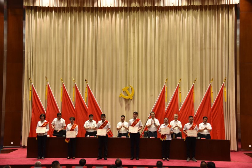 嫩叶草满18点此进