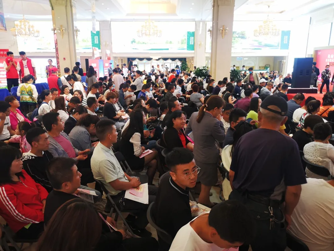 嫩叶草满18点此进