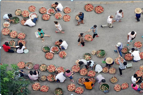 嫩叶草满18点此进