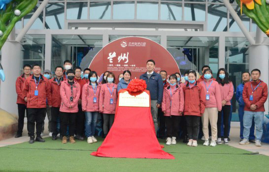 嫩叶草满18点此进