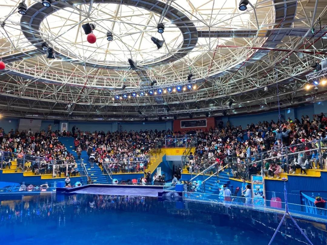 嫩叶草满18点此进