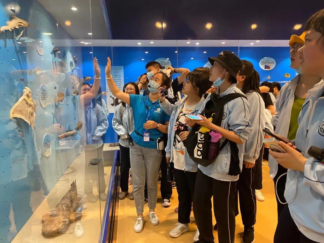 嫩叶草满18点此进