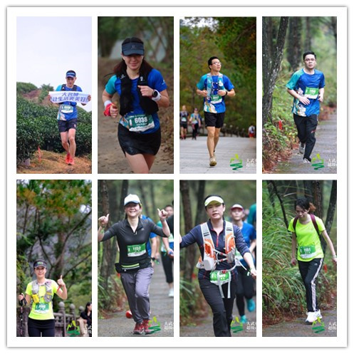 嫩叶草满18点此进