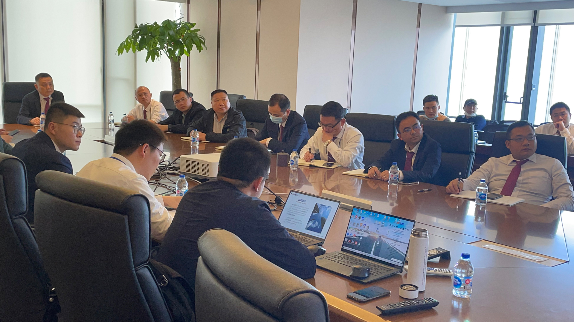 嫩叶草满18点此进