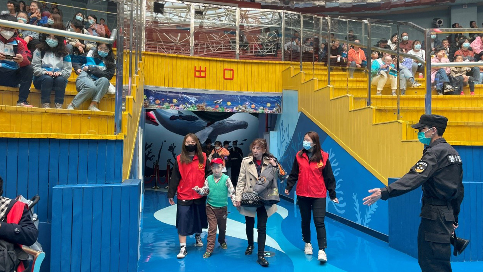 嫩叶草满18点此进