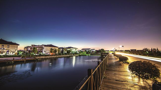 嫩叶草满18点此进