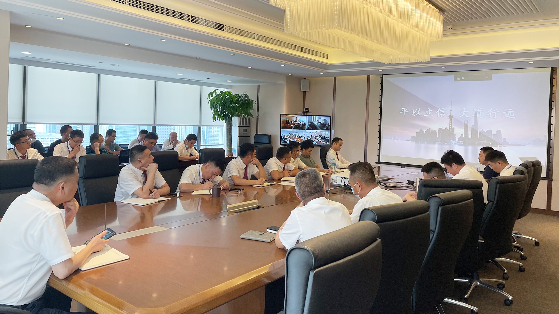 嫩叶草满18点此进