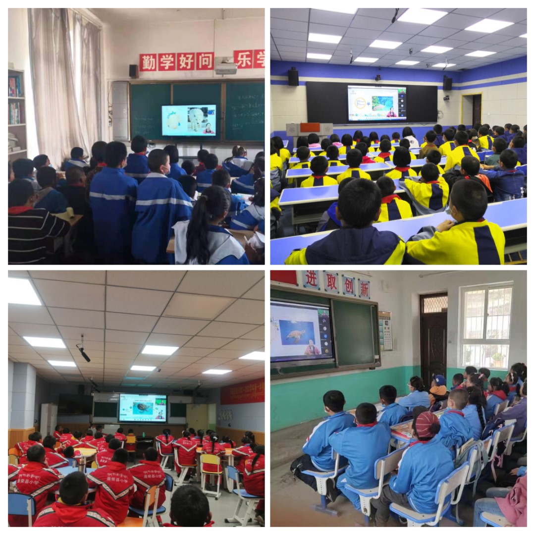 嫩叶草满18点此进