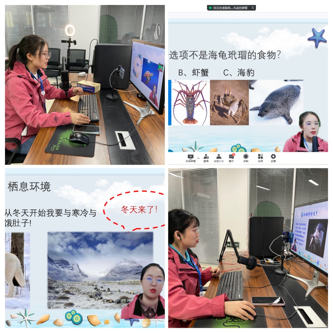 嫩叶草满18点此进