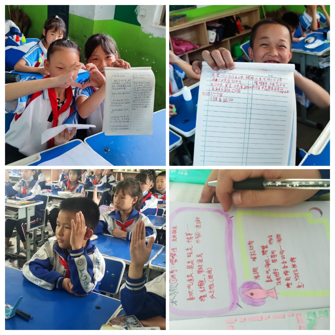 嫩叶草满18点此进