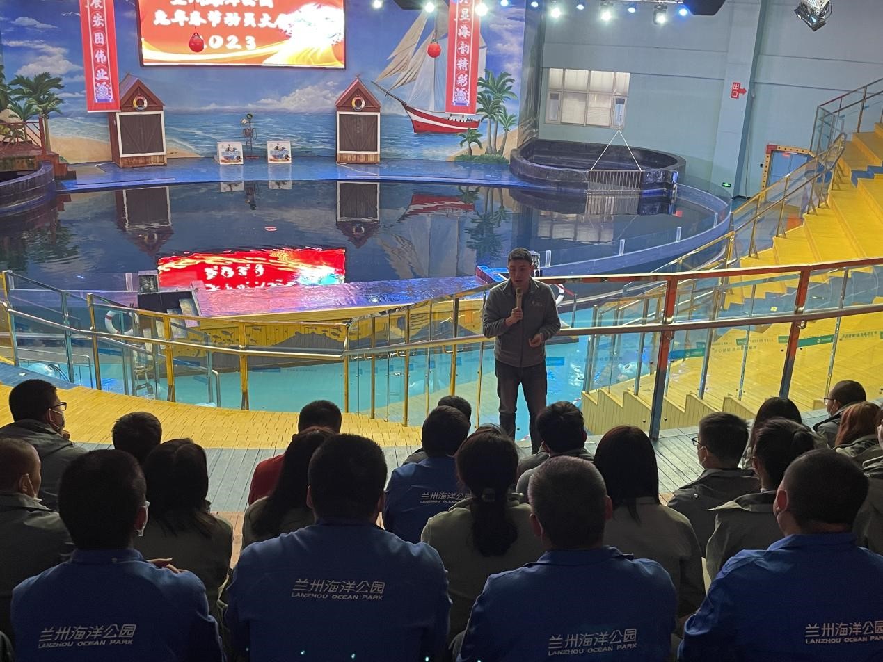 嫩叶草满18点此进