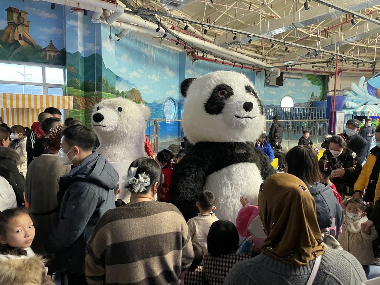 嫩叶草满18点此进