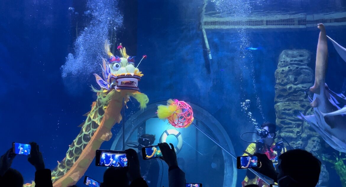 嫩叶草满18点此进