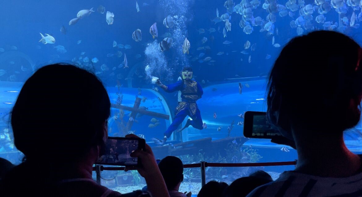 嫩叶草满18点此进