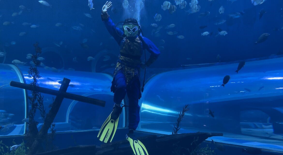 嫩叶草满18点此进