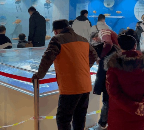 嫩叶草满18点此进