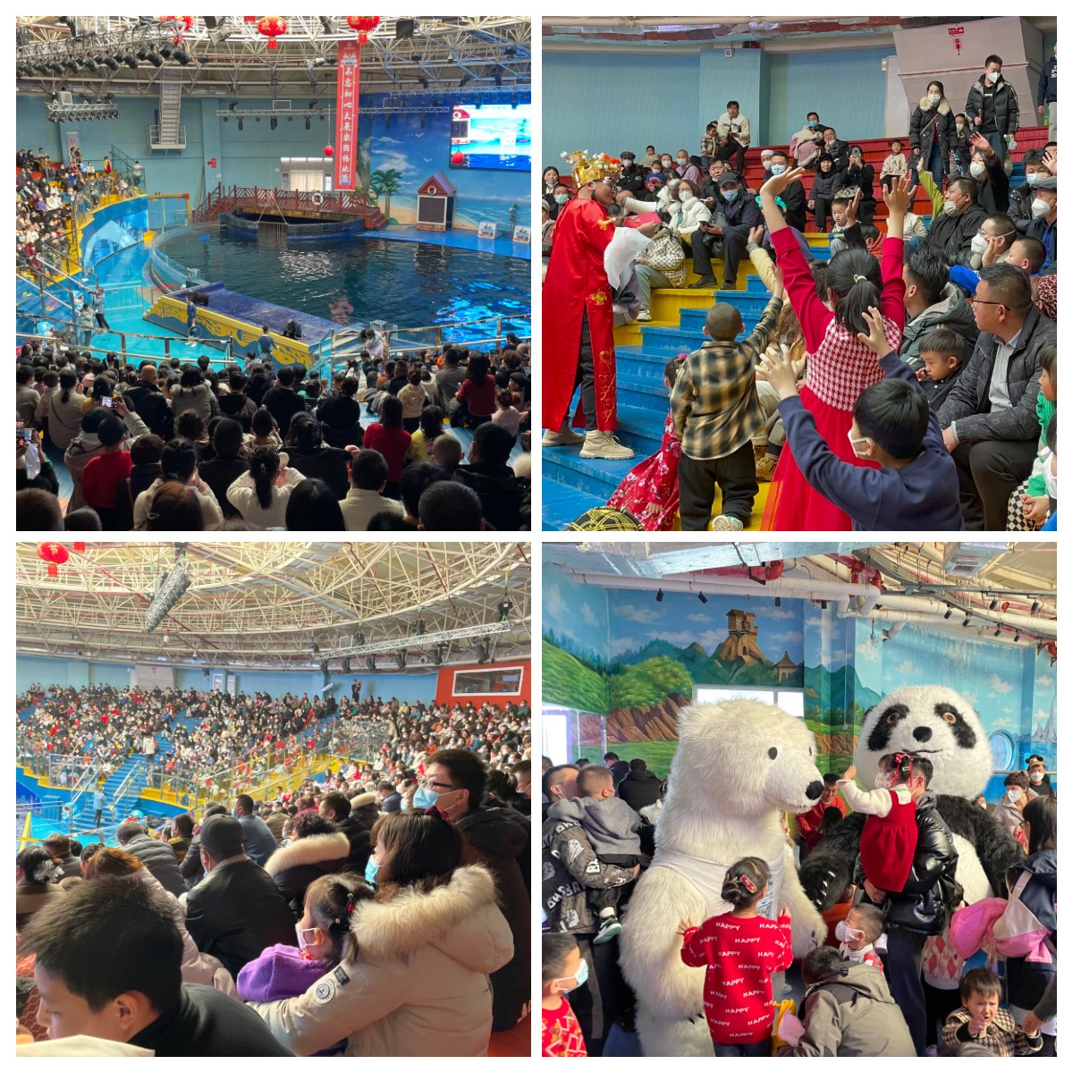 嫩叶草满18点此进