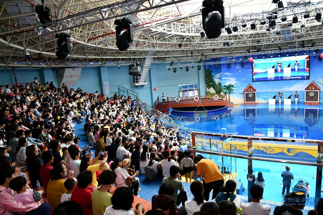 嫩叶草满18点此进