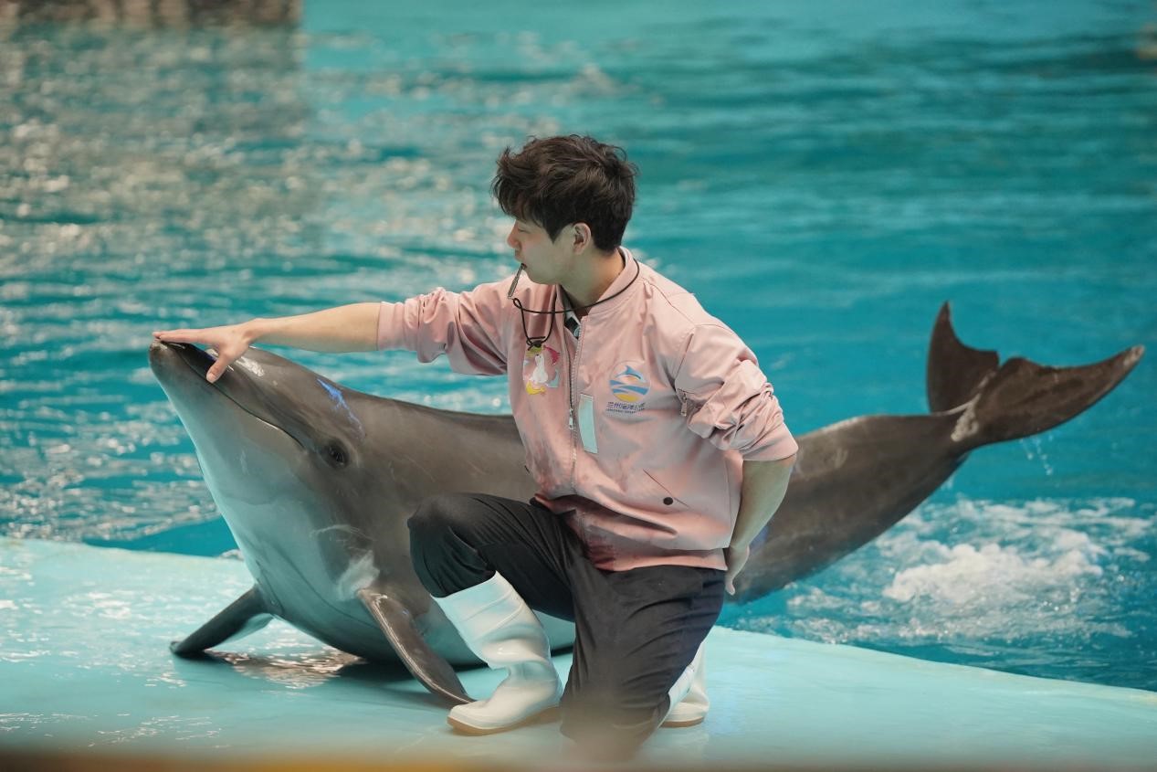 嫩叶草满18点此进