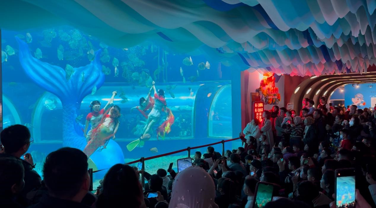 嫩叶草满18点此进