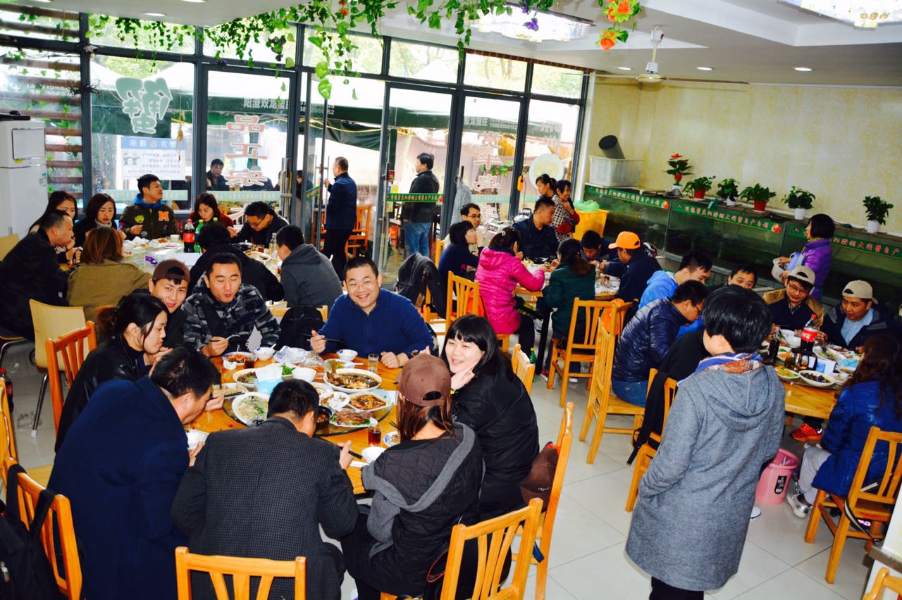 嫩叶草满18点此进