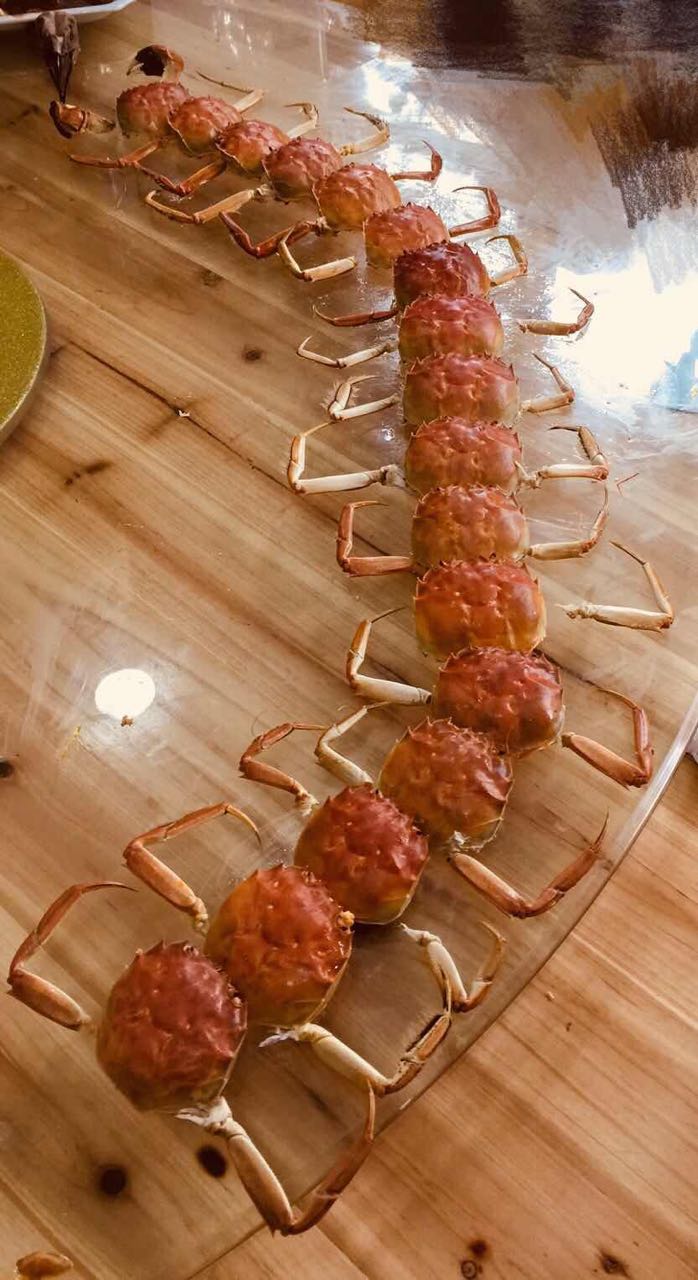 嫩叶草满18点此进