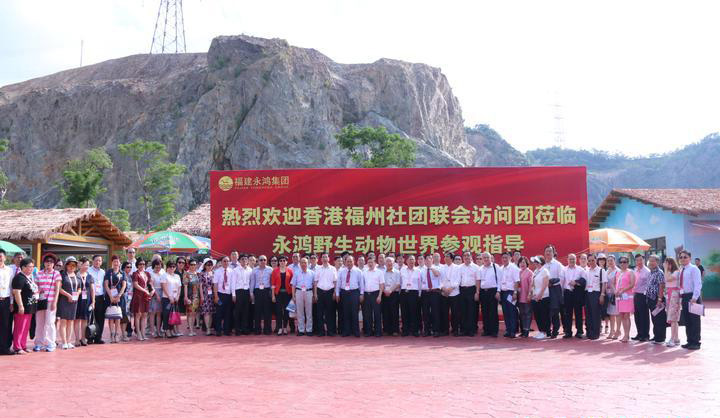 嫩叶草满18点此进