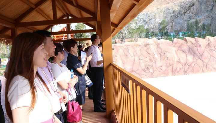 嫩叶草满18点此进