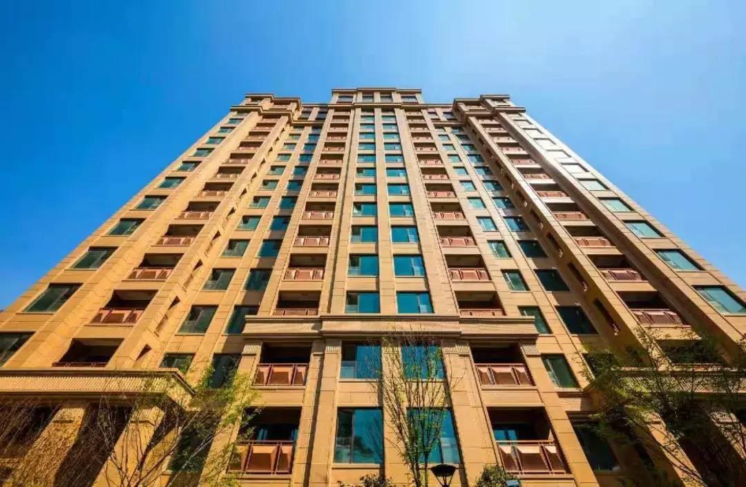 嫩叶草满18点此进