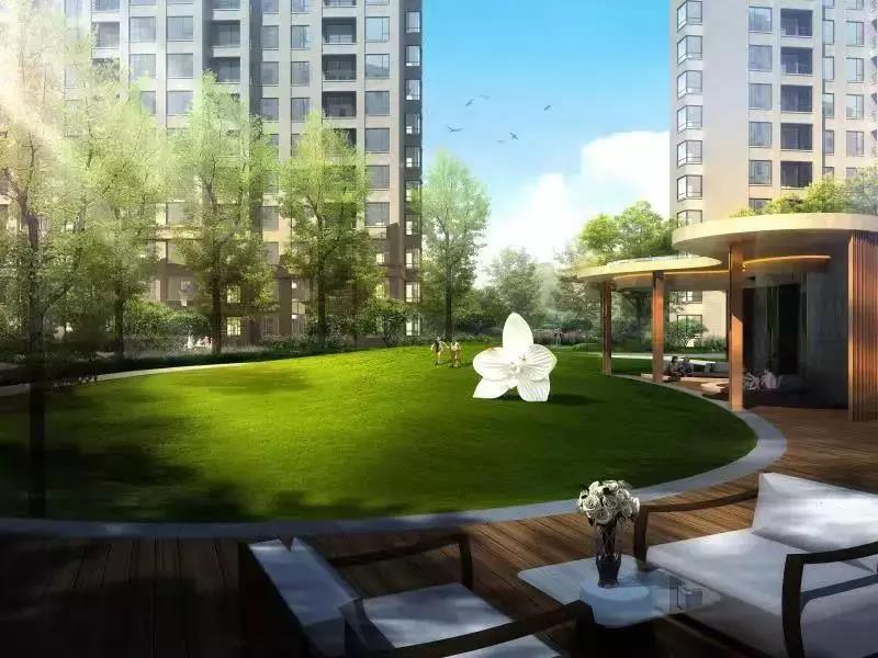 嫩叶草满18点此进